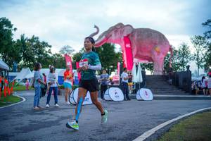 BIB: 
                            <button type="button" onclick="openModal(26551749)" class="btn btn-primary btn-sm float-right btn-popup" data-toggle="modal" data-target=".modal-high-quality">
                        <i class="fas fa-shopping-cart"></i> Add to Cart
                    </button>
                                            <button type="button" onclick="isThisMe(26551749, true)" class="btn btn-success btn-sm float-right btn-popup btn-isme hidden" data-toggle="tooltip" data-placement="bottom" title="นี่คือรูปของคุณใช่ไหม คลิกที่นี่เพื่อเอาเข้าอัลบั้ม">
                        <i class="fas fa-plus"></i> Add to album
                    </button>
                    <button type="button" onclick="isThisMe(26551749, false)" class="btn btn-warning btn-sm float-right btn-popup btn-isnotme hidden">
                        <i class="fas fa-ban"></i> Remove from album
                    </button>